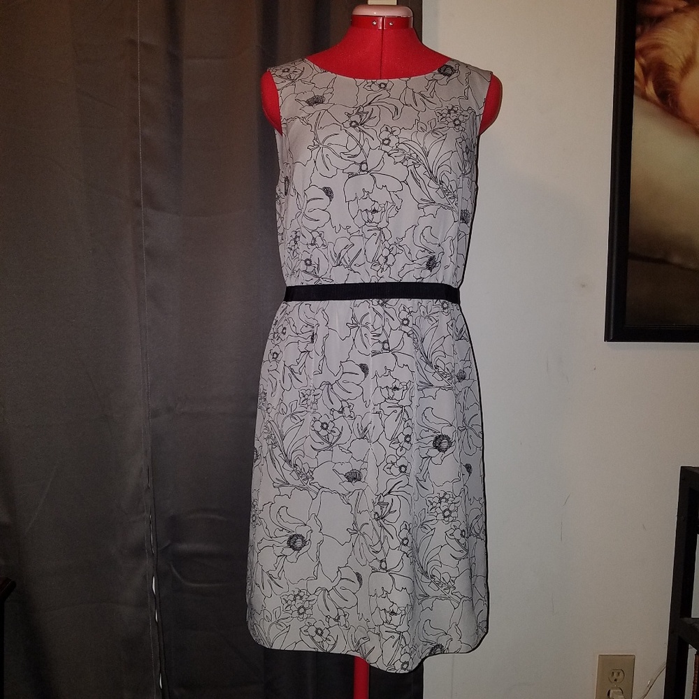Ann Taylor Loft Dress